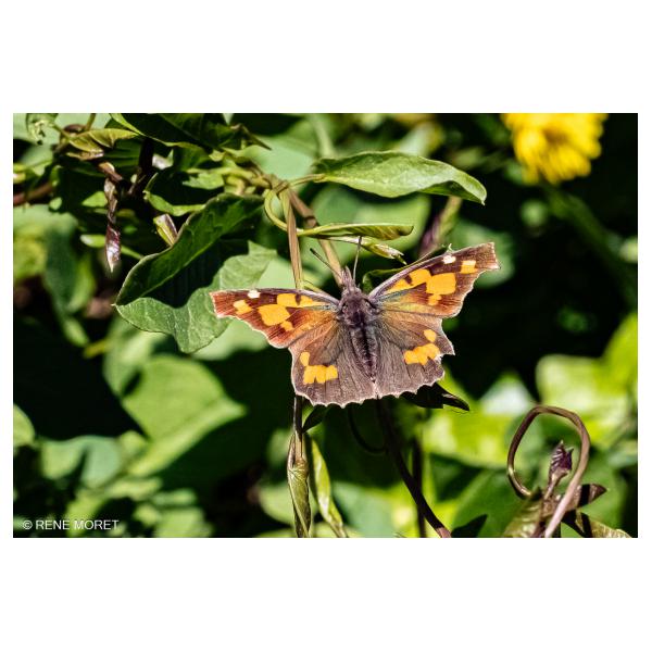 PHOTO84, CLUB, 84 , LUBERON